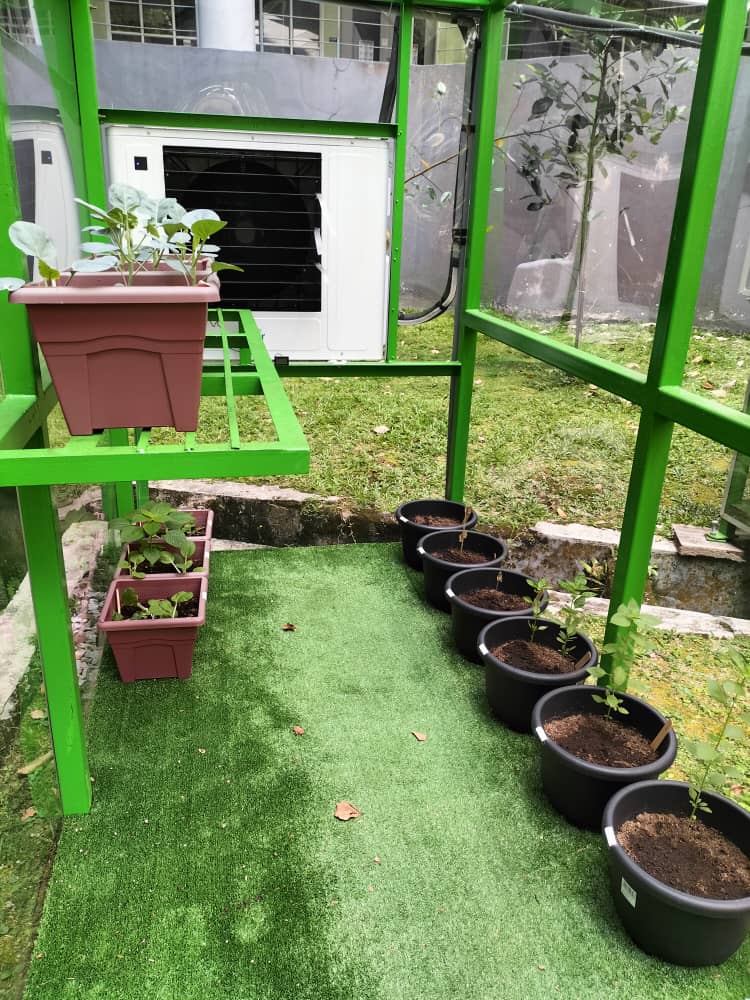 Day 1 Plants with EvoAir Coolpressor