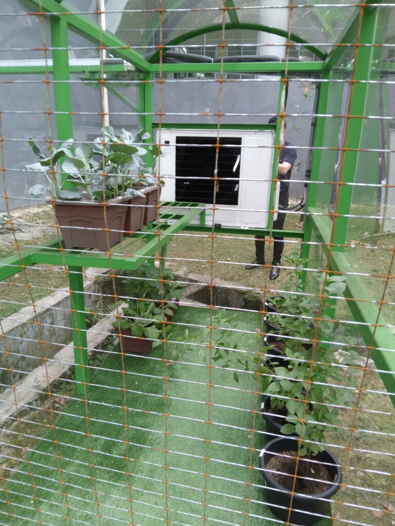 After 1 month of the plants living with EvoAir Coolpressor