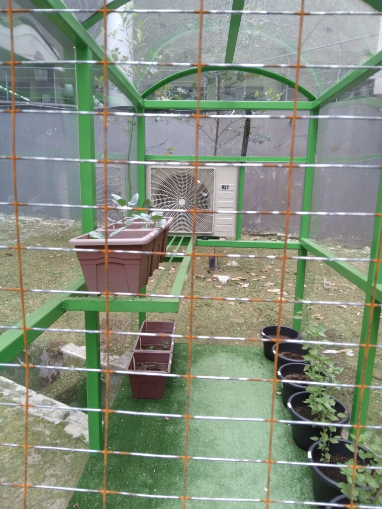 After 1 month of the plants living with the conventional compressor.